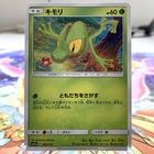 Treecko
