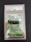 Treecko
