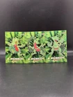 Treecko