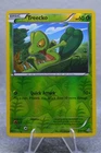 Treecko
