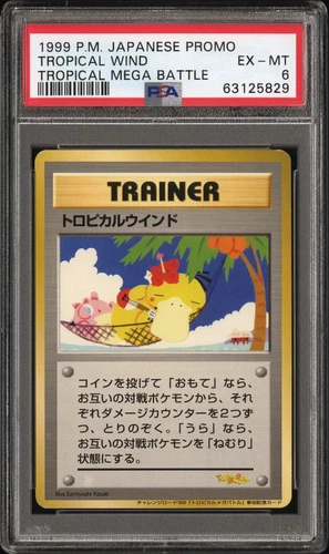 Tropical Wind