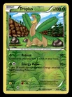 Tropius