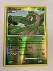 Tropius