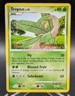 Tropius