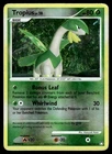 Tropius