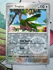Tropius