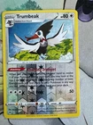 Trumbeak