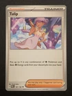 Tulip