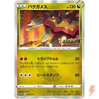 Dragonite FB 