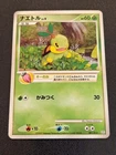 Turtwig