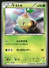 Turtwig