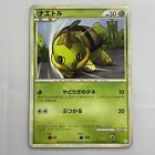 Turtwig