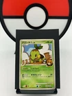 Turtwig