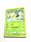 Turtwig