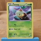 Turtwig