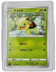 Turtwig