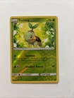 Turtwig