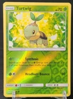 Turtwig
