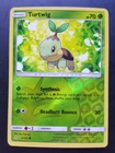 Turtwig