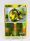 Turtwig