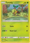 Turtwig