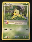 Turtwig