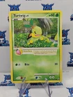 Turtwig