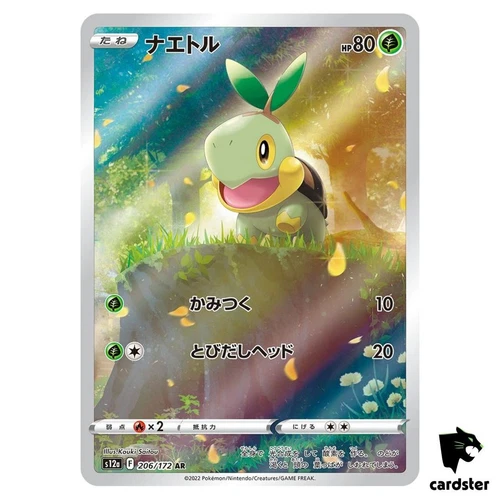 Turtwig