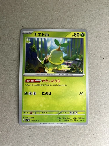 Turtwig