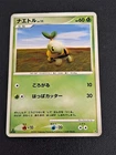 Turtwig