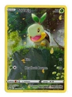 Turtwig