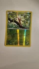 Turtwig