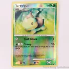 Turtwig