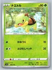 Turtwig