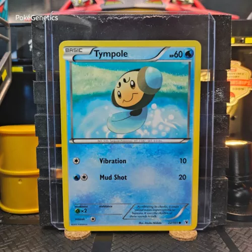 Tympole