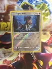Type: Null