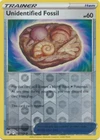 Unidentified Fossil