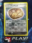 Unidentified Fossil
