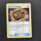 Unidentified Fossil