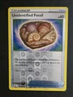 Unidentified Fossil