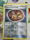 Unidentified Fossil