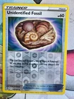 Unidentified Fossil