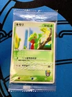 Treecko