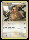 Ursaring