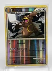 Ursaring