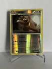 Ursaring