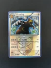 Ursaring