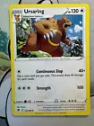Ursaring