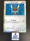 Poncho-Wearing Eevee 
