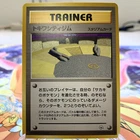 Viridian City Gym